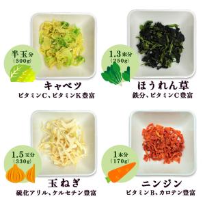 乾燥野菜ミックス 国産 野菜日和 100g×2...の詳細画像3