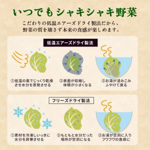 乾燥野菜ミックス 国産 野菜日和 100g×2...の詳細画像4