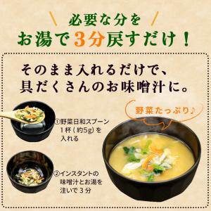 乾燥野菜ミックス 国産 野菜日和 100g×2...の詳細画像5