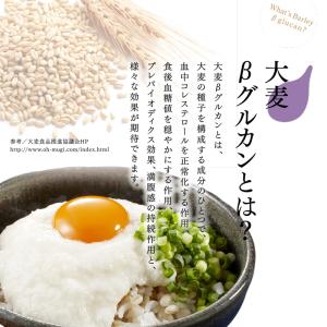 紫もち麦 ダイシモチ 800g もち麦 国産 ...の詳細画像3