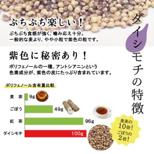 もち麦 国産 ダイシモチ 4.8kg (800...の詳細画像1
