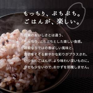 雑穀米 厳選国産 十穀米 2.25kg (45...の詳細画像1
