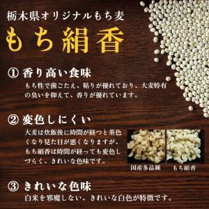 もち麦 国産 もち絹香 800g 栃木県産 雑...の詳細画像2