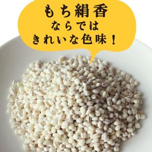 もち麦 国産 もち絹香 800g 栃木県産 雑...の詳細画像3