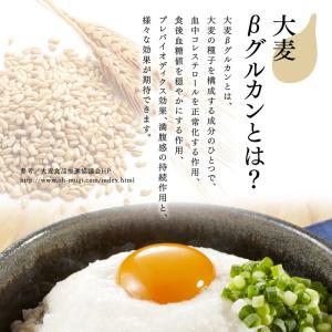 もち麦 国産 もち絹香 800g 栃木県産 雑...の詳細画像5