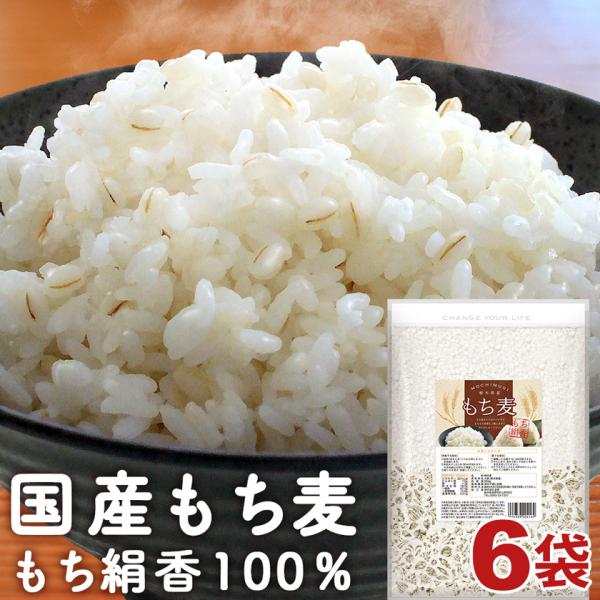 もち麦 国産 もち絹香 4.8kg (800g×6袋) 栃木県産