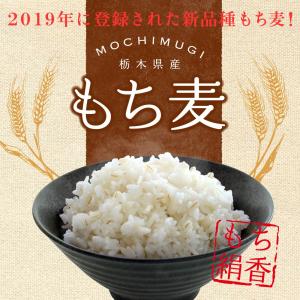 もち麦 国産 もち絹香 4.8kg (800g...の詳細画像1