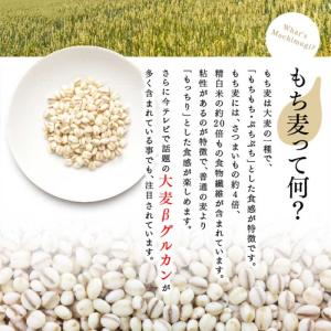 もち麦 国産 もち絹香 4.8kg (800g...の詳細画像4