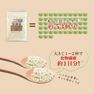 おからパウダー 国産 500g 超微粉 国産大...の詳細画像4