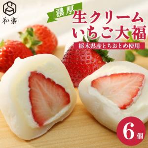 遅れてごめんね！ 母の日 ギフト スイーツ 生クリーム大福 いちご 6個入 送料無料 ギフト いちご大福 ギフト スイーツ アイス お菓子 和楽｜super-foods-japan