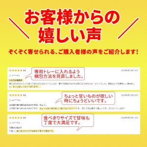 メガ盛り とろける水ようかん 50g×15個 ...の詳細画像2