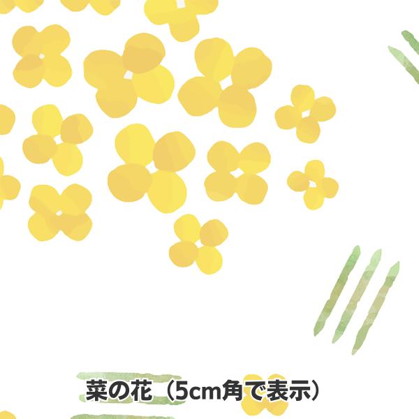 包装紙 ラッピング 菜の花 736×480mm グラシン紙 500枚 業務用
