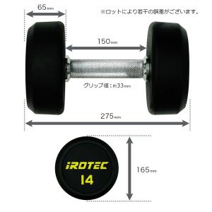 ラバーダンベル IROTEC(アイロテック)ジ...の詳細画像3