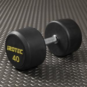 WILD FIT（ワイルドフィット） 固定式 ダンベル 40kg WF / 鉄アレイ