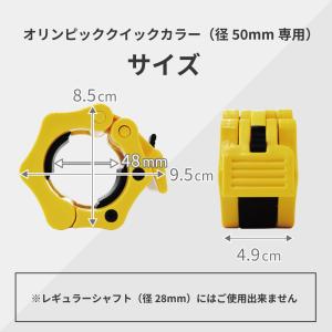 IROTEC(アイロテック)オリンピッククイッ...の詳細画像1