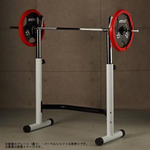本州 IROTEC(アイロテック)スクワットラック/パワーラック