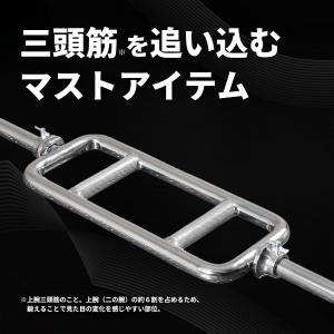 IROTEC(アイロテック)レギュラー トライ...の詳細画像1