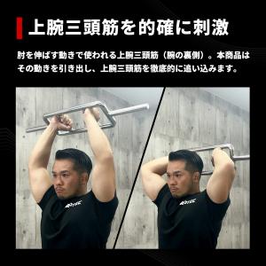 IROTEC(アイロテック)レギュラー トライ...の詳細画像2