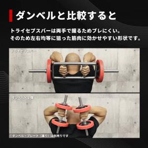 IROTEC(アイロテック)レギュラー トライ...の詳細画像4