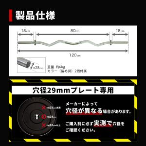 [7/10-7/12迄P10倍] Wシャフト ...の詳細画像2