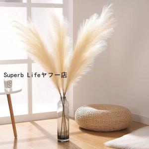 パンパスグラス 造花 大きい パンパス ドライフ...の商品画像