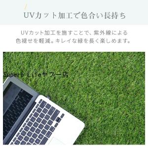 人工芝 1m×5m 1m×10m 芝丈35mm...の詳細画像2