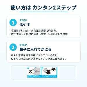 冷感パット あたま用 熱中症対策 帽子 ヘルメ...の詳細画像3