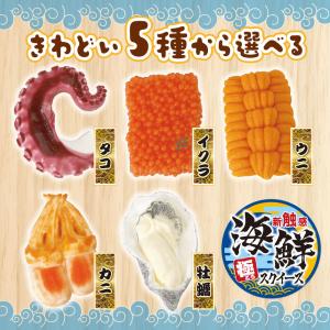 【極とろスクイーズ】 海鮮スクイーズ スクイー...の詳細画像3