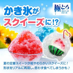 スクイーズ かき氷 極とろ スクイーズシリーズ...の詳細画像2
