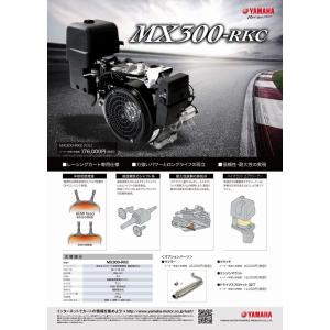 日動工業 AS-C1224V-2000A エンジンスターター ビッグバンSS 屋内型