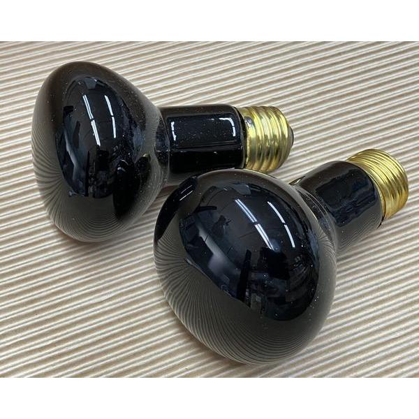 2個 旭光60Wブラックランプ E26口金 R-62 110V60W