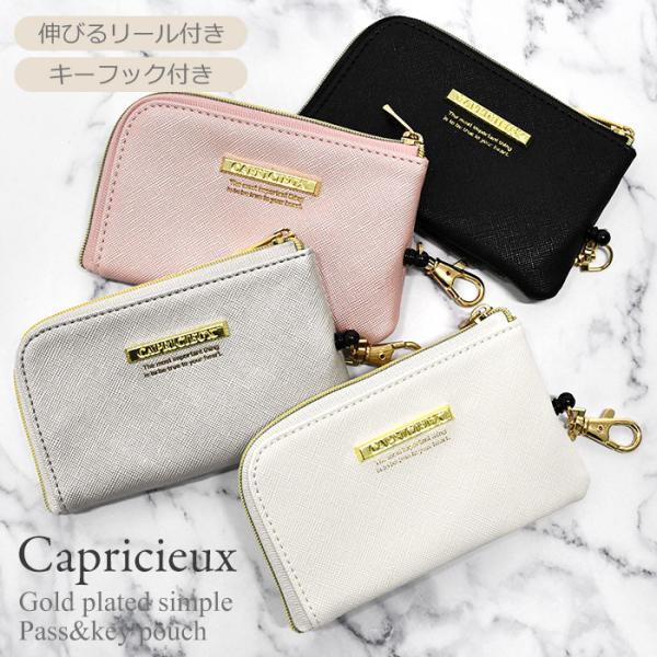 定期入れ パスケース カードケース コインケース ポーチ キーケース フラグメントケース リール付き...