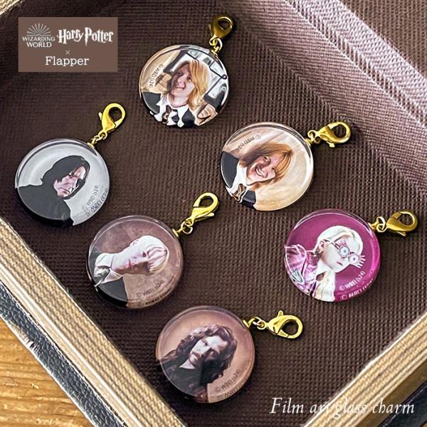 ハリーポッター グッズ ハリポタ 人物 顔 写真 FLAPPER フラッパー フィルムアート ガラス...