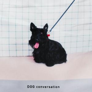 犬 いぬ イヌ 犬柄 エコバッグ トートバッグ...の詳細画像3