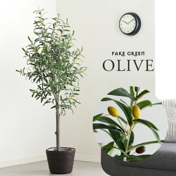 人工観葉植物 フェイクグリーン OLIVE(オリーブ) GRN-17 H152cm 人工植物 観葉植...