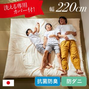 日本製 東洋紡フィルハーモニイ使用 ファミリー ...の商品画像