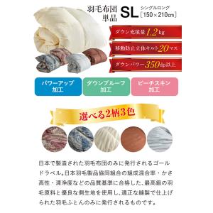 【エクセルゴールドラベル】日本製 羽毛布団 羽...の詳細画像2