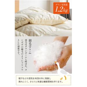 【エクセルゴールドラベル】日本製 羽毛布団 羽...の詳細画像5