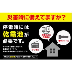 東芝 アルカリ乾電池 単1形【1パック(4本入...の詳細画像5