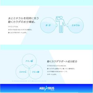 アクエリアス パウダー(粉末) 1L用(48g...の詳細画像4
