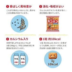 三立製菓 カンパン100g×3個 乾パン かん...の詳細画像1