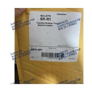 【新品★送料無料】SK-R1-BP1 【６ヶ月保証】