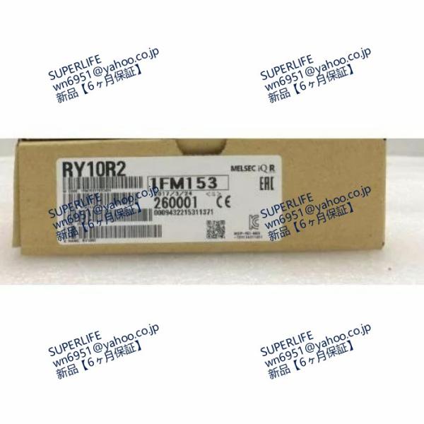 【新品★送料無料】 RY10R2　【６ヶ月保証】