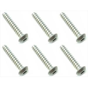 チタンヘックスボタンビス 3×8 6本入 [NTR-308] : スーパー