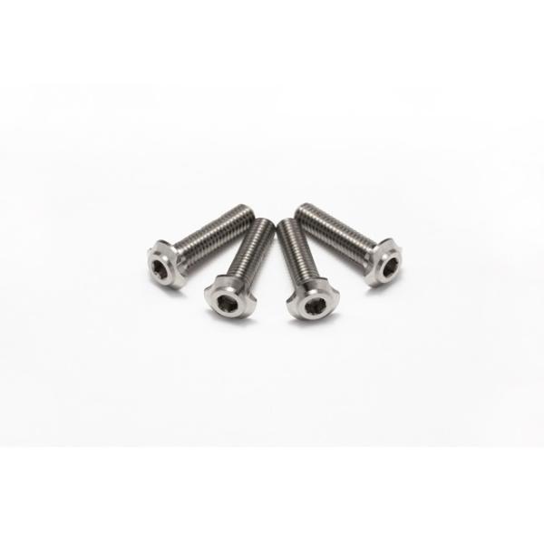 チタンロープロヘッドビス(M3x12mm) [HS-48857]
