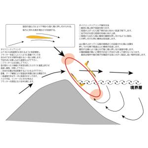 ※送料特大※ ルナ DS-X レッド [CAS...の詳細画像2
