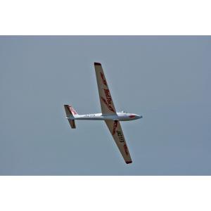 ※送料特大※ FOX2.1-SIII レッド [CAS-11143]