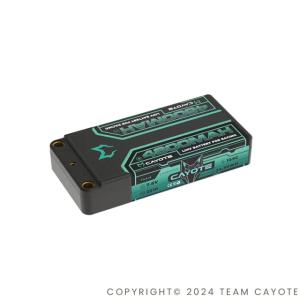 ELCERAM NITRIDE G2 1/10RCカー競技用ESC LCDモニター装備（エルセラム