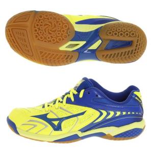ミズノ（MIZUNO） 【多少の傷汚れありの為大奉仕】バドミントンシューズ ユニセックス ウエーブファングSS2 71GA171026 （メンズ）