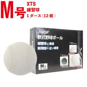 エックスティーエス（XTS） 軟式用練習球 M号 ダースボール